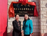 集团资讯 | 构建多样化战略体系 加快高质量发展步伐